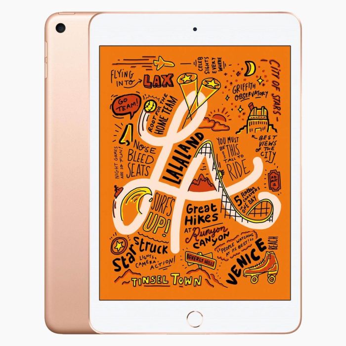 iPad Mini 5 256 GB 4G