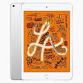 iPad Mini 5 256 GB 4G