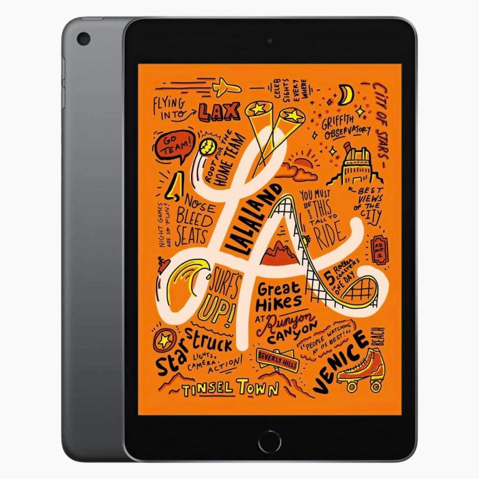 iPad Mini 5 256 GB 4G