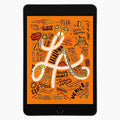 iPad Mini 5 256 Go