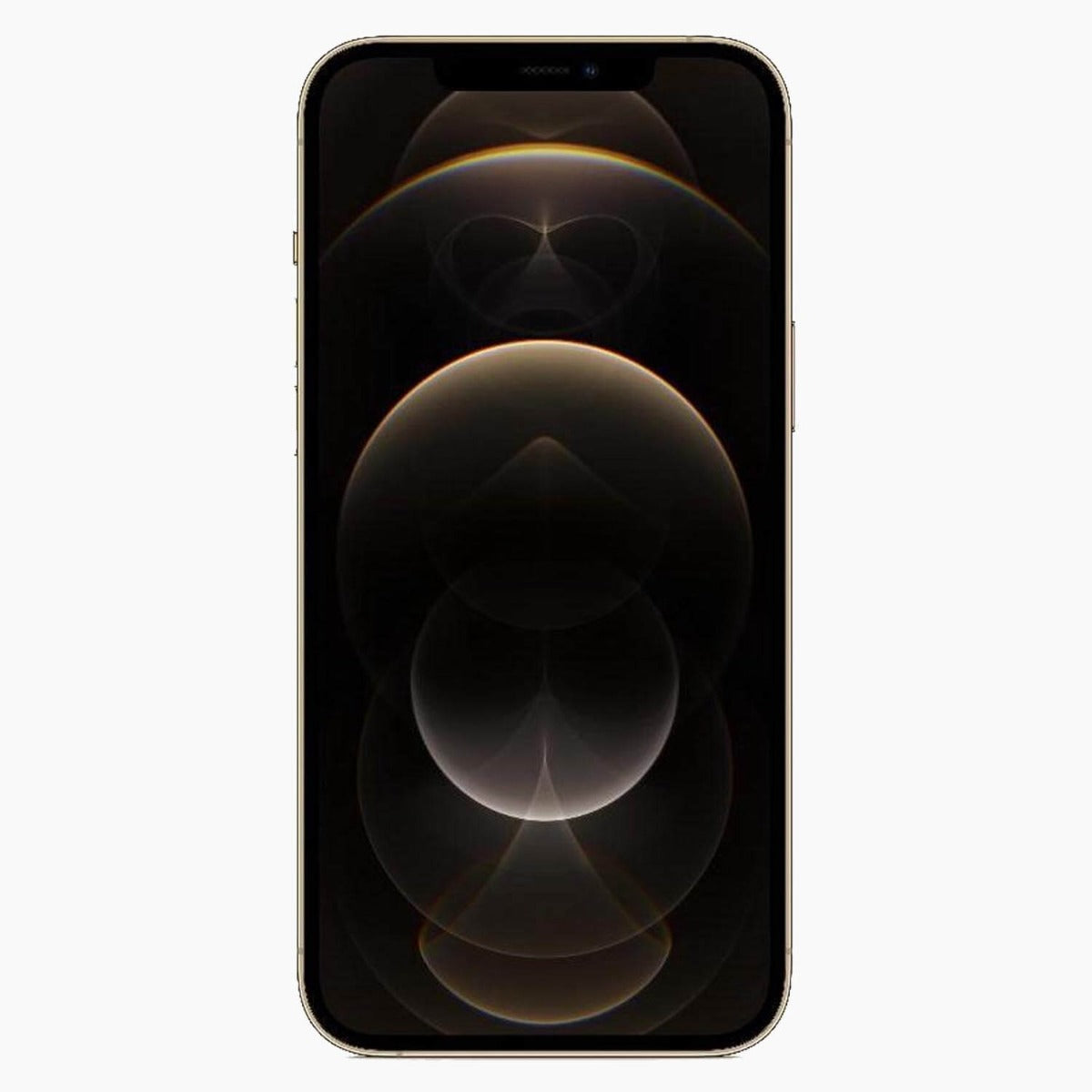 iPhone 12 Pro Max 256 Go